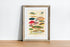 Rustic Wood Framed Great Barrier Reef Fishes Vintage Illustration Wall Art Print
